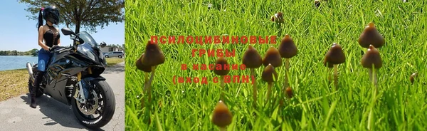 MDMA Долгопрудный